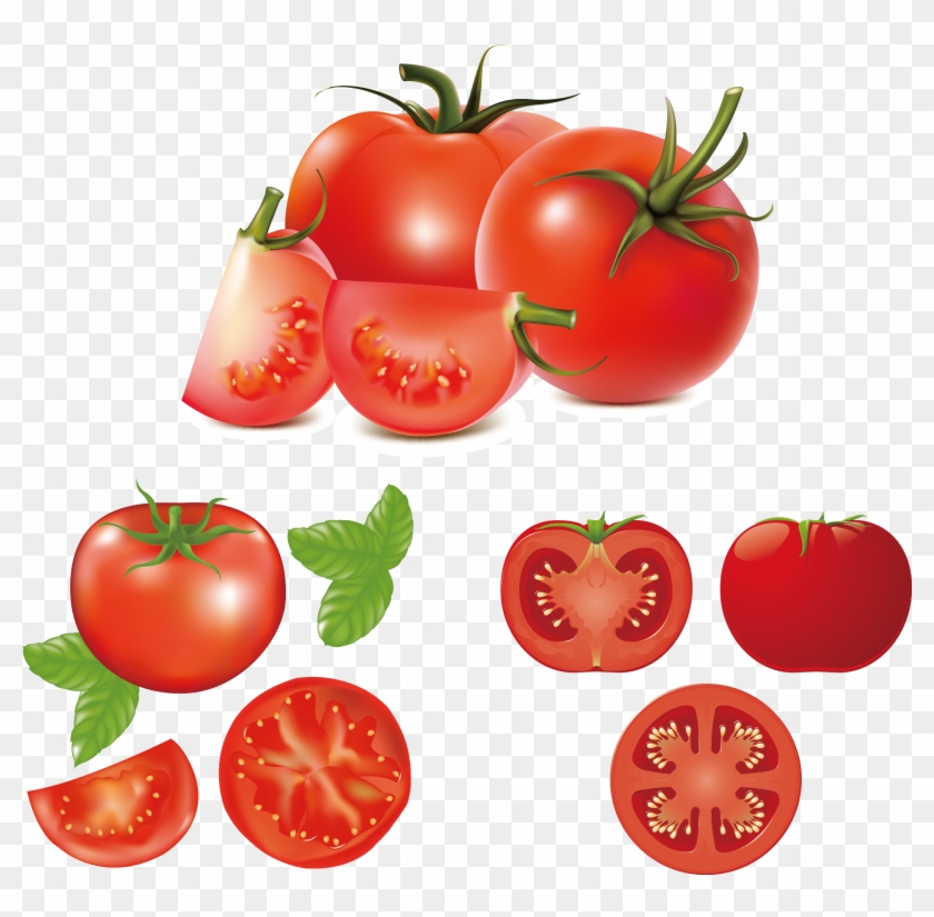 Hamburger Caprese Salad Tomato Clip Art - Tomato Vector #862132