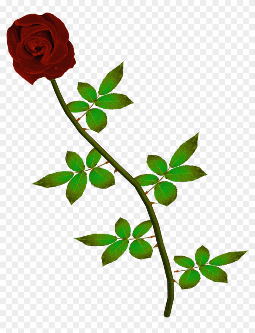 Rosas Rojas Png - Rosas Rojas Animadas Png #862484