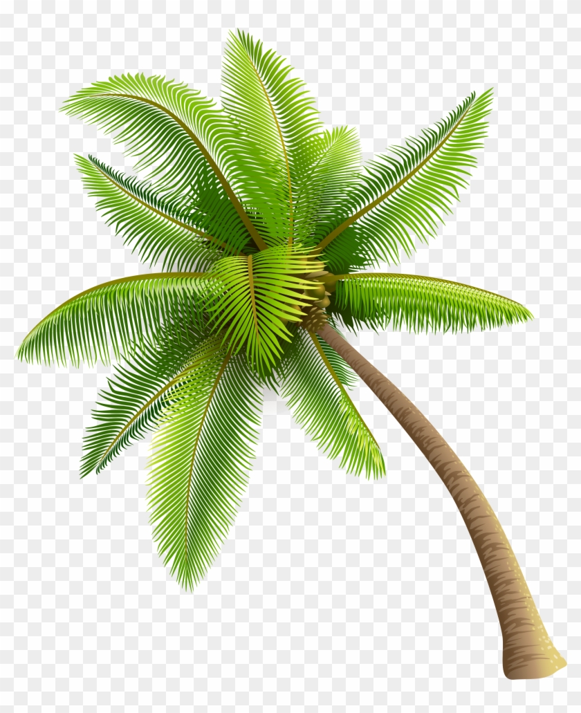 Palm Tree Royalty Free Vector Clip Art Image - Palm Trees Png #862571