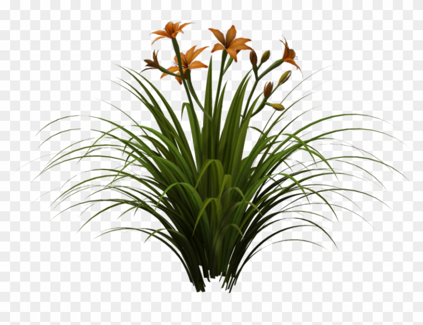 Plants And Vegetation Stock By Wolverine041269 On Deviantart - Artificial Tree Grass Plant #862591