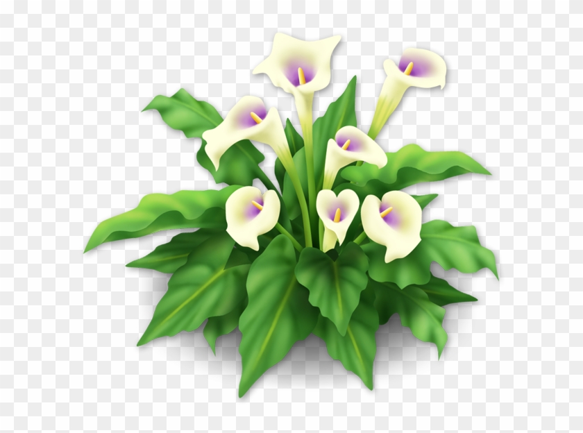 White Lilies - White Lilies #862616