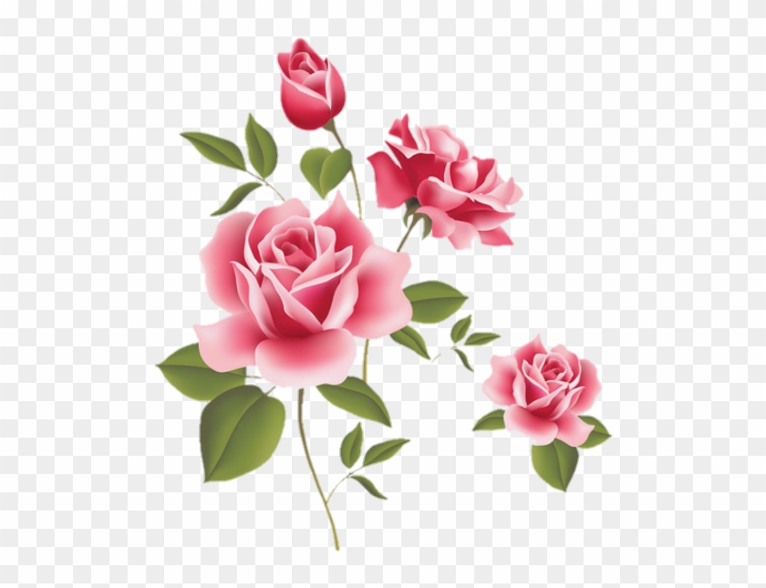 Rosas Rosa Sticker Stickerrosas Beautiful - Rose Flower #862640
