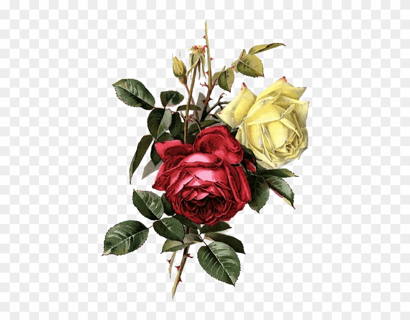 Hoy Completamos Con 30 Rosas Muy Bonitas, También En - Painting #862695