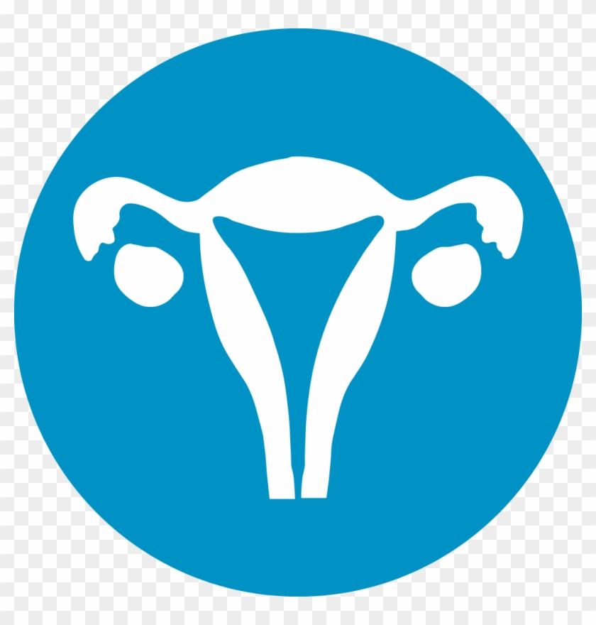 Gynaecology Icon - Gynaecology #862730