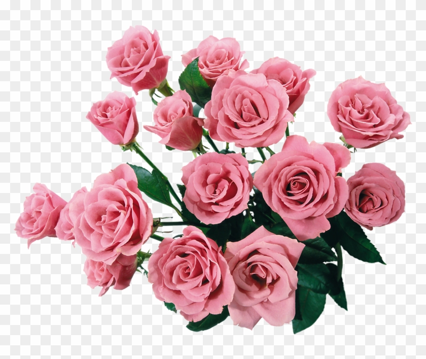 Royalty Free Clipart Image Of A Bouquet Of Pink Roses - Pink Roses Clip Art #862739
