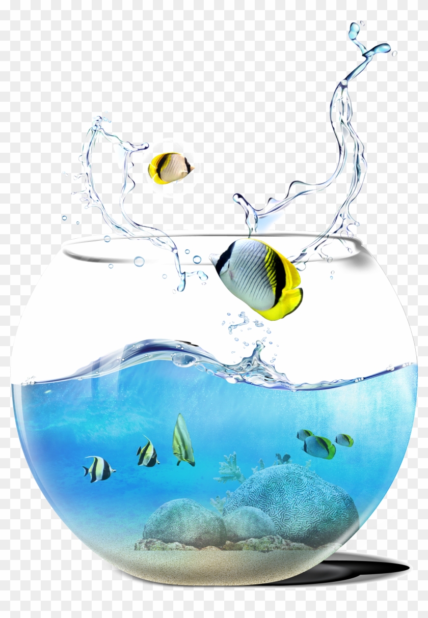Cutlass Fish Tank - Digital Ph Meter, Sokos 0.01 Ph High Accuracy Water #862758