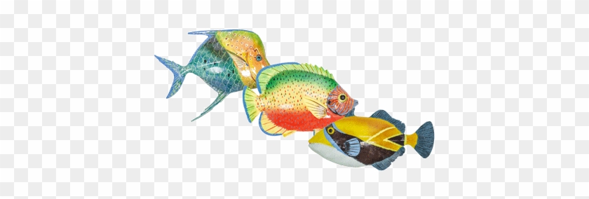 Aquarium Decorative Fish Scalar Stock Vector Imagoaiva - Decorative Tropical Fish #862956