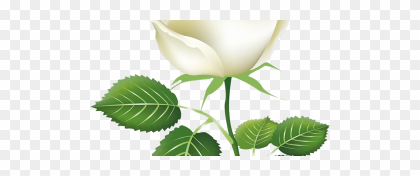 Painted Rose Buds Png #862989