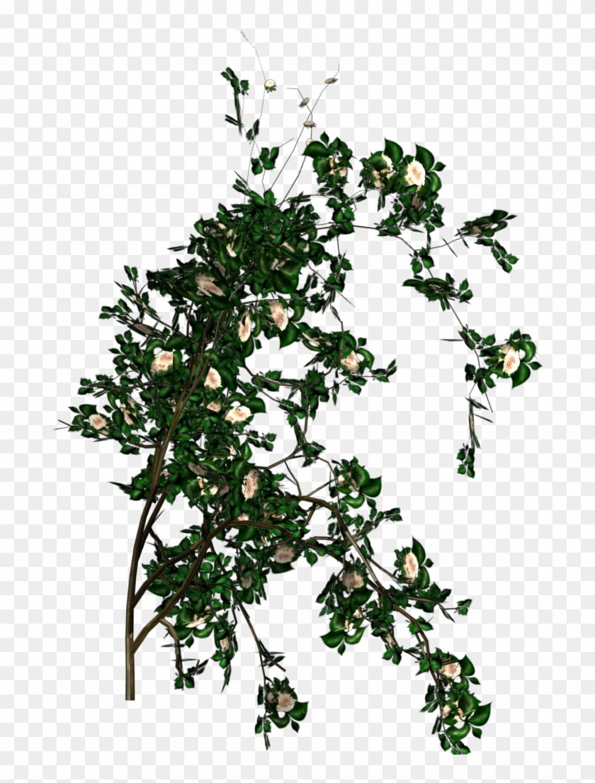 Rose - Rose Tree Png #863009