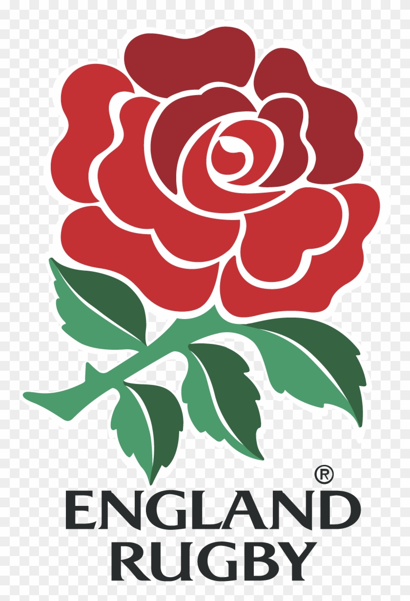 England Rugby Logo Vector Springboks Vs England Free