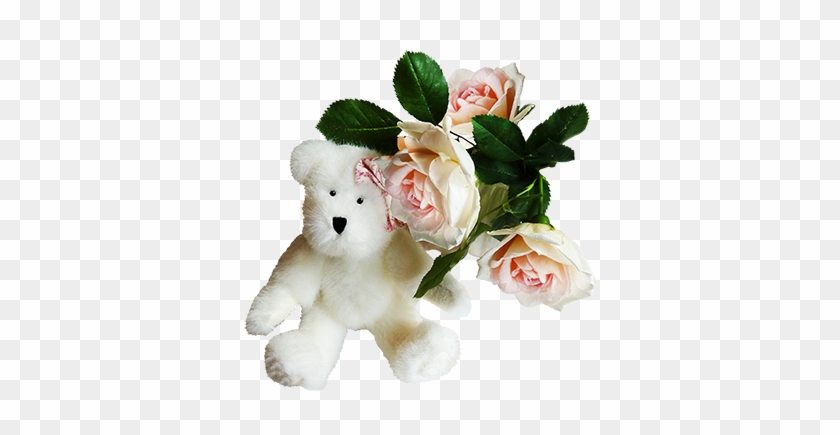 White Teddy Bear With Rose - Alles Gute Zum Geburtstagkarte Teddybär Und Rosa Postkarte #863057
