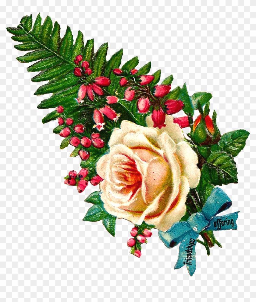 This Is A Lovely Digital Botanical Flower Clip Art - Botany #863058