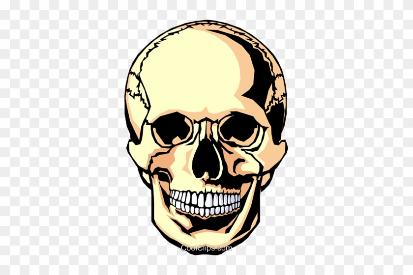 Human Skull Royalty Free Vector Clip Art Illustration - Clip Art #863161