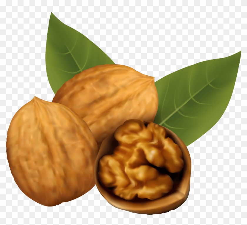 Walnuts Png Clipart Image - Pecan Clipart #863311