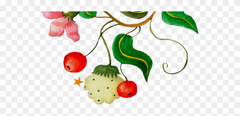 Register Interest - Register Interest #863304