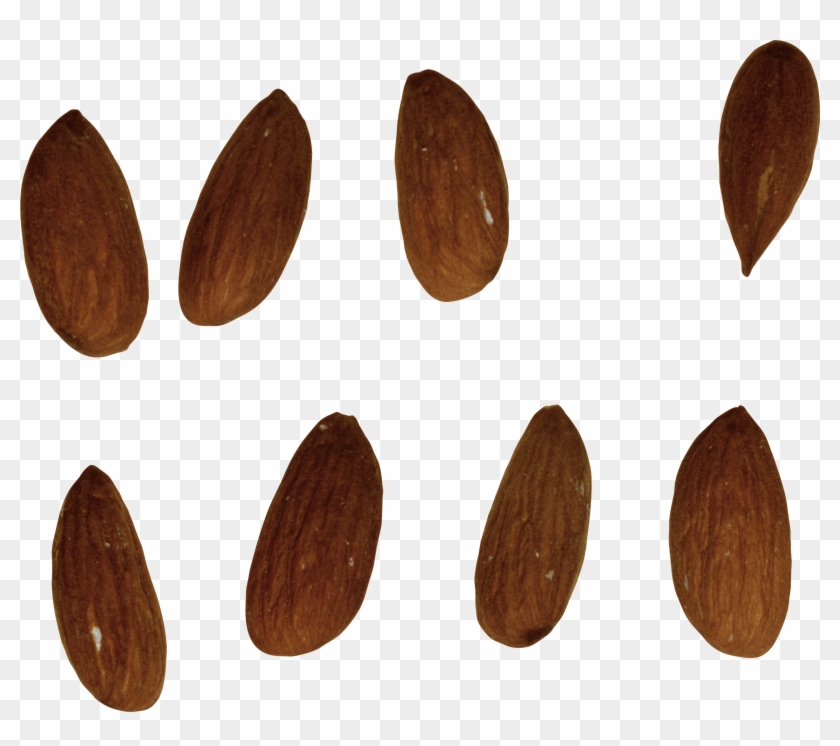 Almond Png - Almond #863414