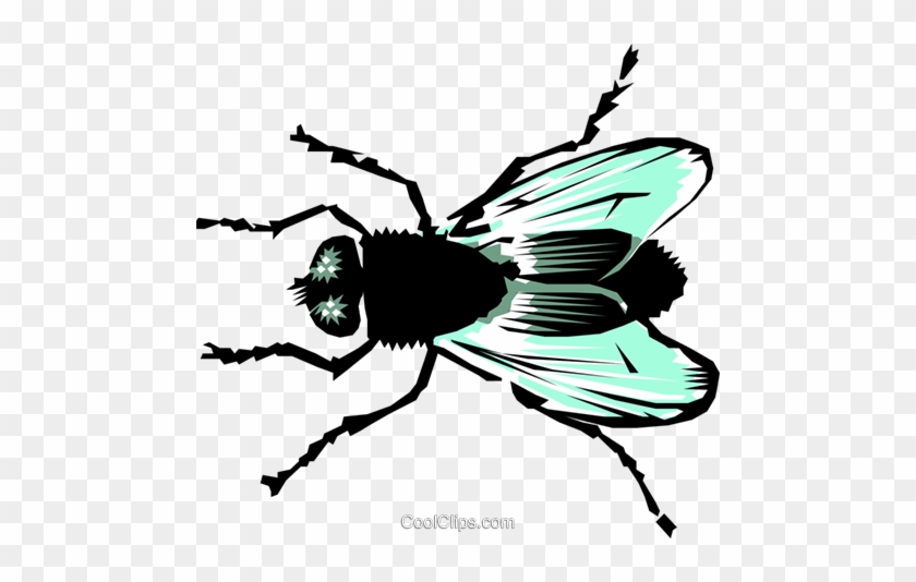 House Fly - Vector Graphics #863525