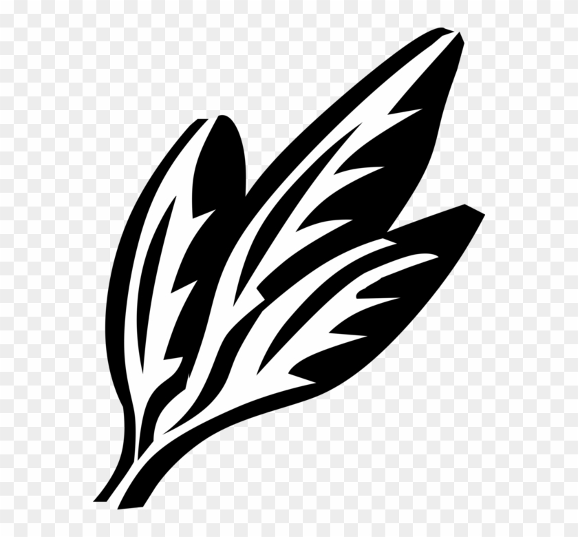 Vector Illustration Of Summer Savory Annual Herb Spice - Vector Illustration Of Summer Savory Annual Herb Spice #863608