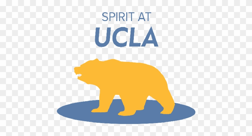 Grizzly Bear Clipart Ucla - Bruin Bear Png Ucla #863684