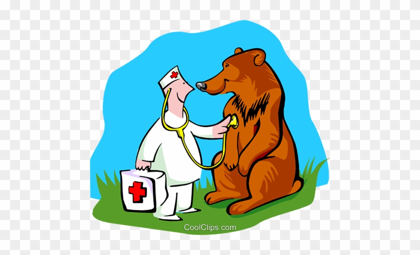 Veterinarian Checking On Bear Royalty Free Vector Clip - Urso No Veterinario #863720