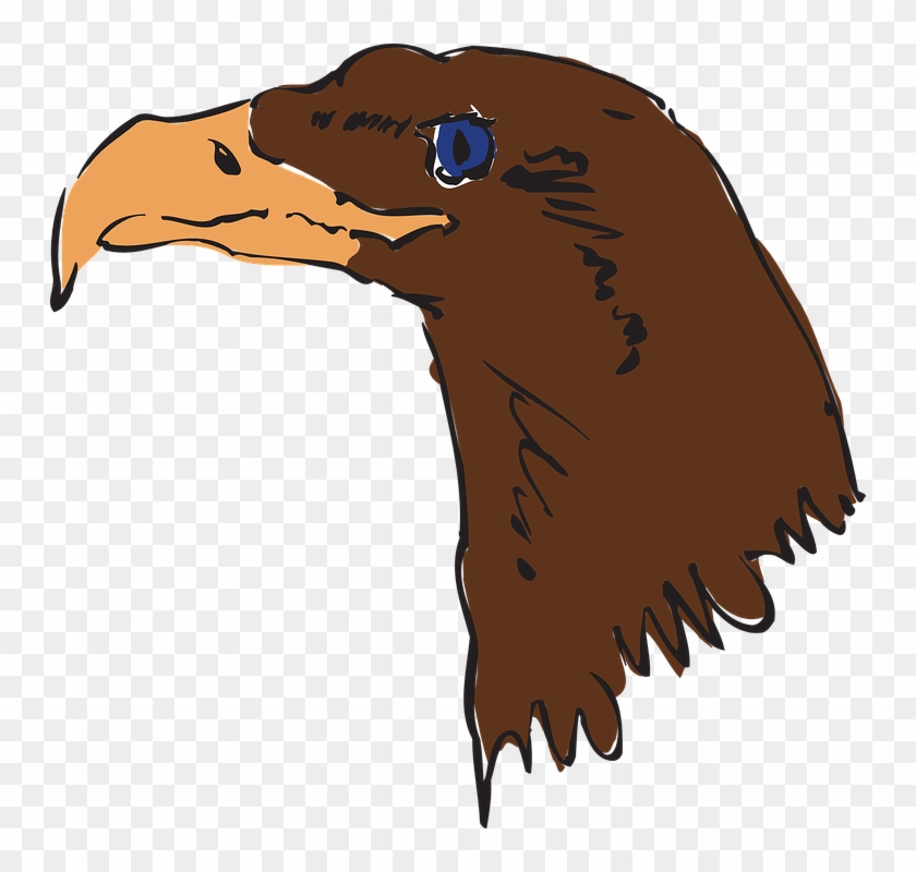 Brown Bear Clipart Orange Bird - Eagle #863726