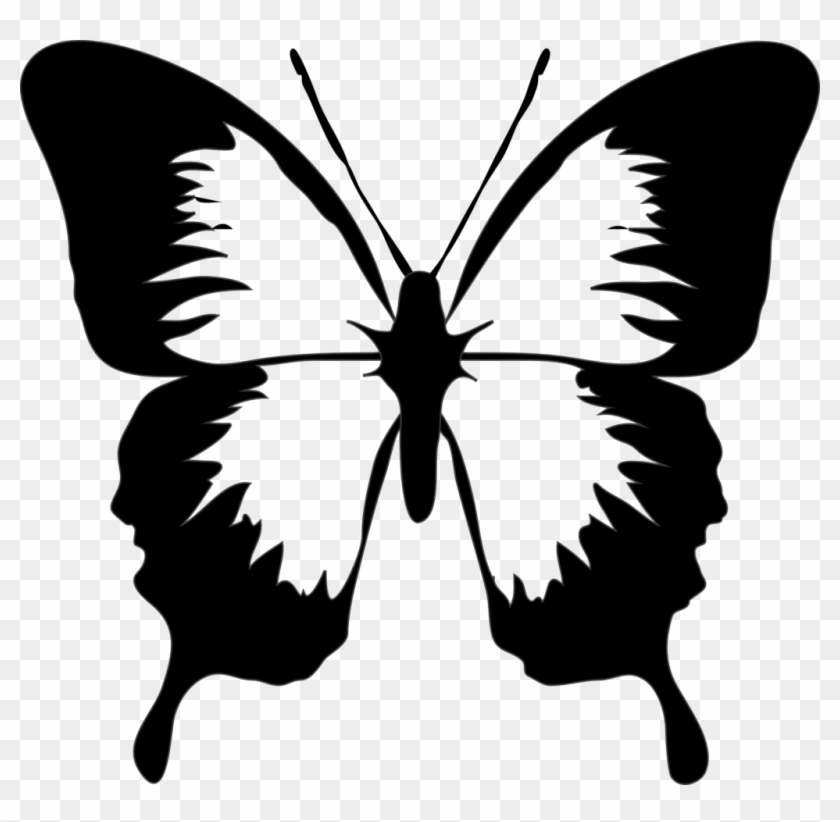 Butterfly Black And White Clip Art Black And White - Black And White Butterfly #864228