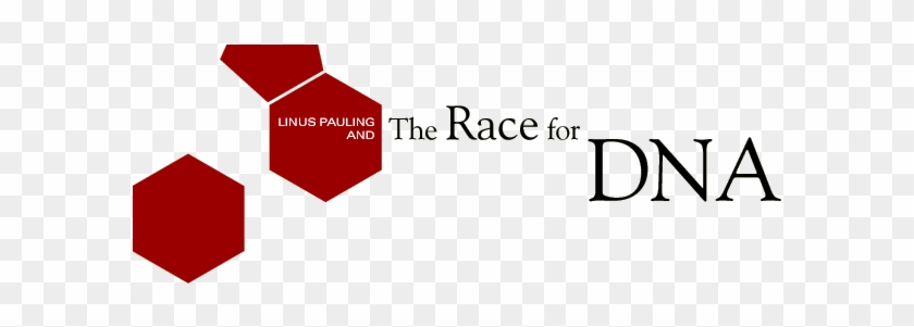 Linus Pauling And The Race For Dna - Race In Dna #864290