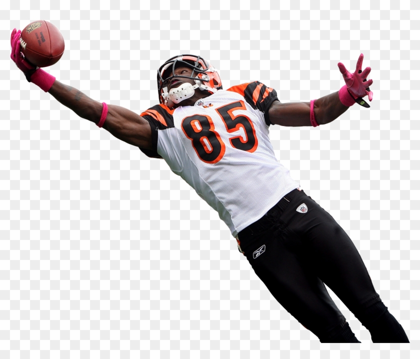 American Football Png - Sports Collectibles Chad Ochocinco Johnson Cincinnati #864540