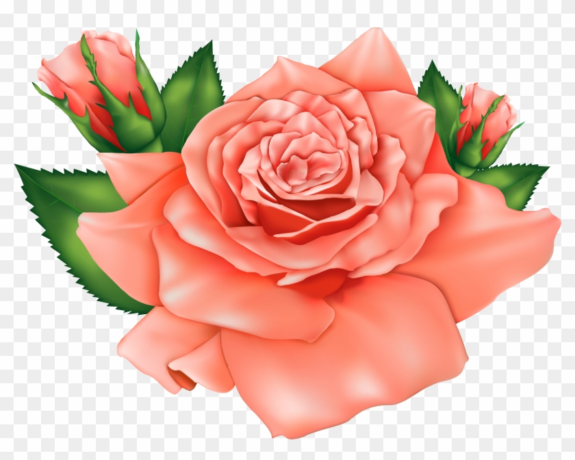 Orange Flower Clipart Orange Rose - Peach Rose Roses Clipart #864645