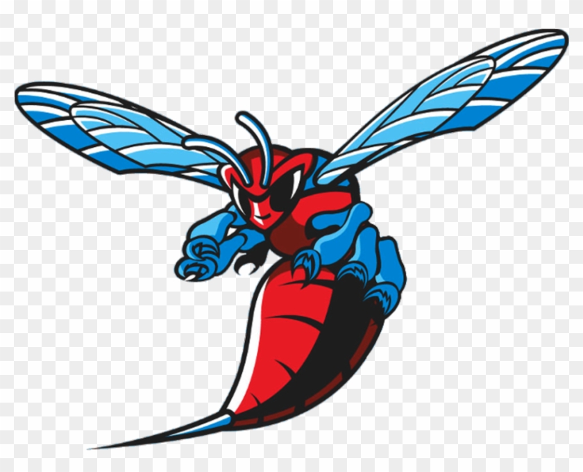 The Hornets Place Third In The Dsu Farm Run - Delaware State University Hornets Logo #864641