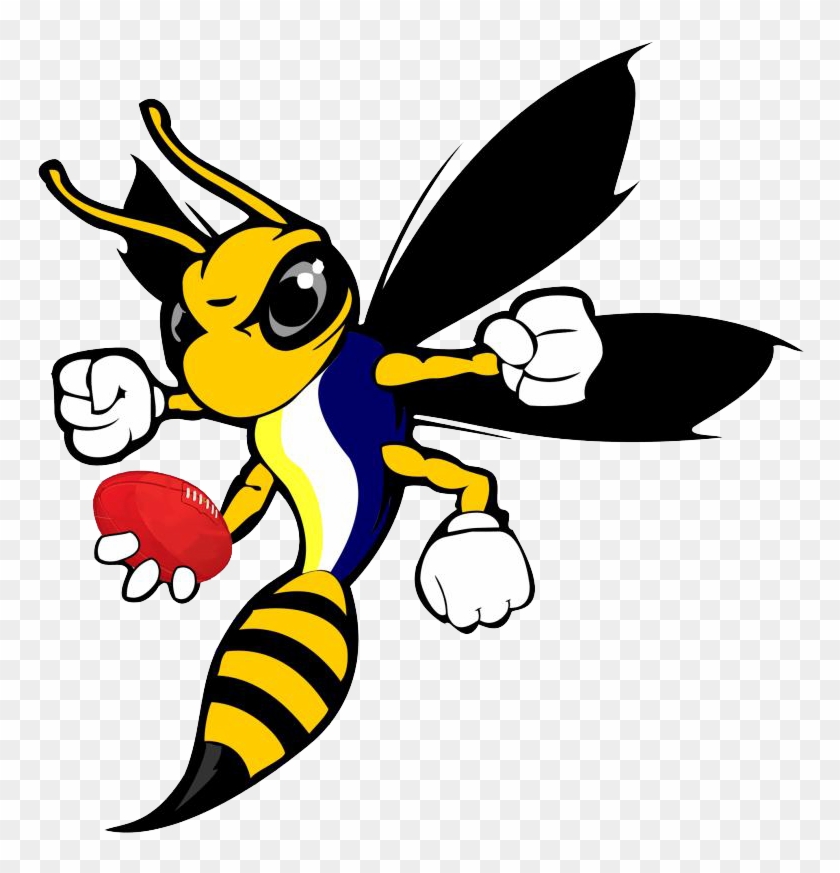 San José Hornets - Cartoon Hornet #864686