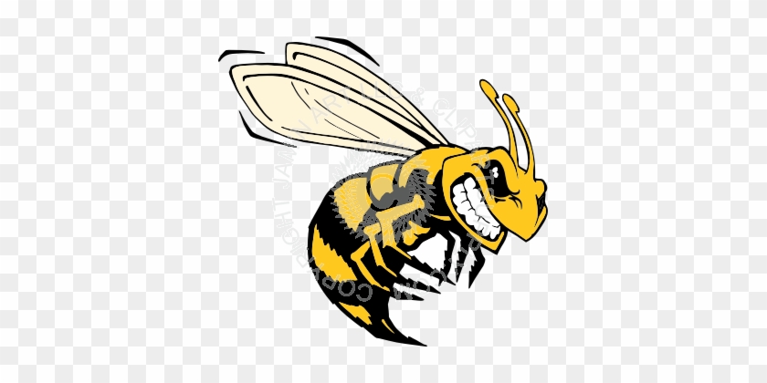 Clipart Info - Cool Bee #864776