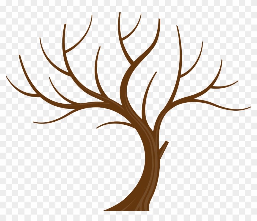 Tree Without Leaves Png #864795