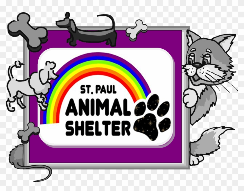 Paul Animal Shelter Looking For Volunteers - Volunteering #865244