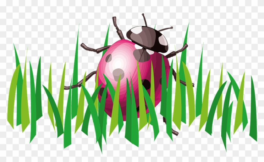 Grass Clipart Ladybug - Illustration #865491