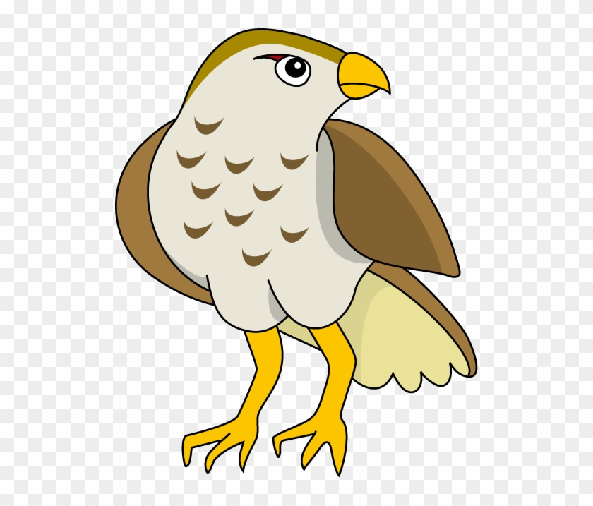 Hawk Clip Art - Clip Art #865602