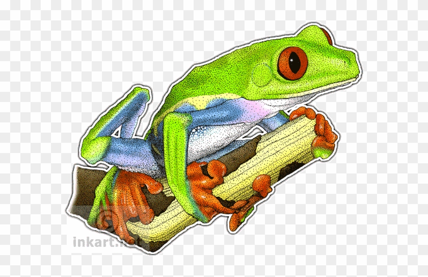 Green Frog Clipart Red Eyed Tree Frog - Red Eyed Tree Frog Mug #866127