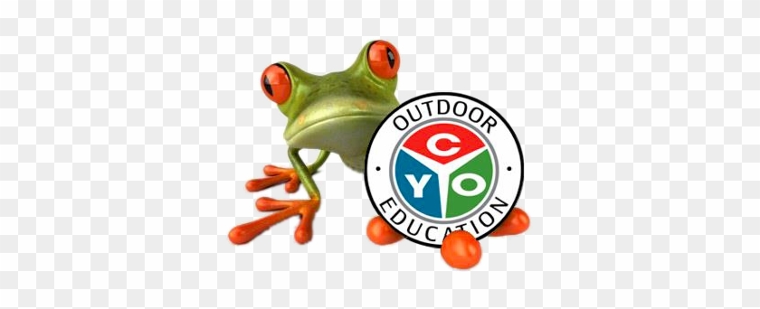 Outdoor Education - Green Frog #866202