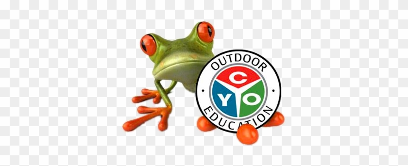 Outdoor Education - Green Frog #866202