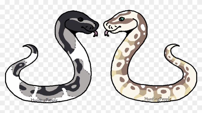 Gay Sneks By Huntingpeople - Gay #866412