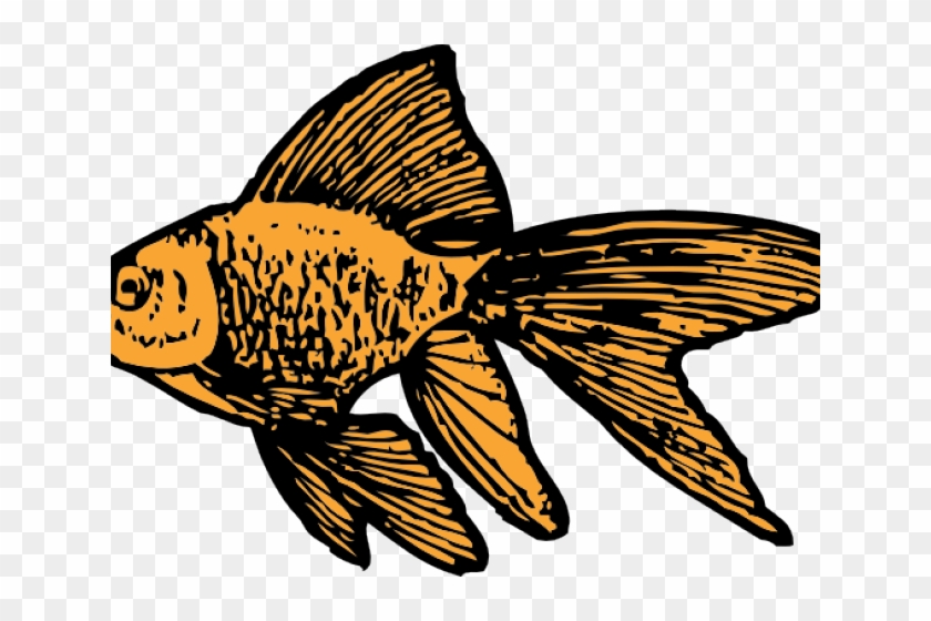 Gold Fish Clipart Fish Fin - Goldfish Clip Art #866441