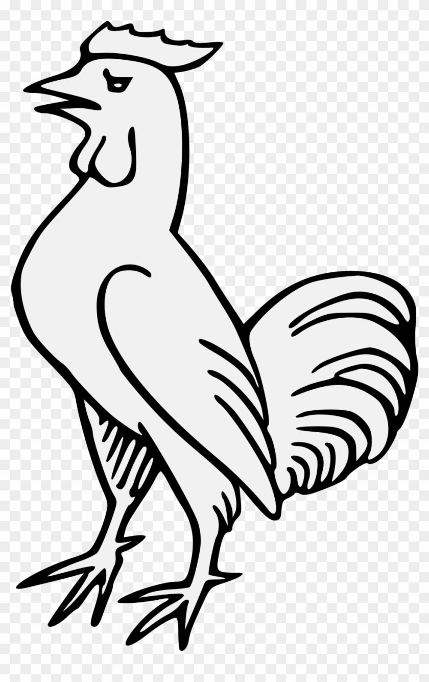 Cock - Rooster #866900