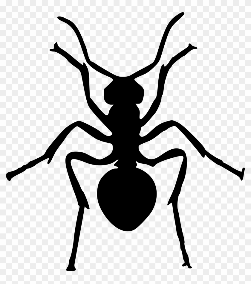 Clipart - Ant Silhouette #867037