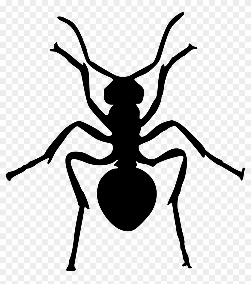 Clipart - Ant Silhouette #867037