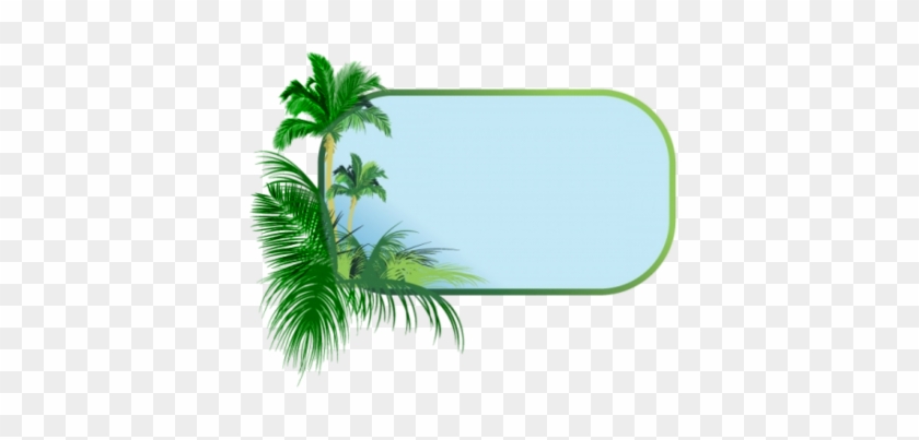 Palm Tree Clipart Border - Palm Tree Border Clip Art #867276