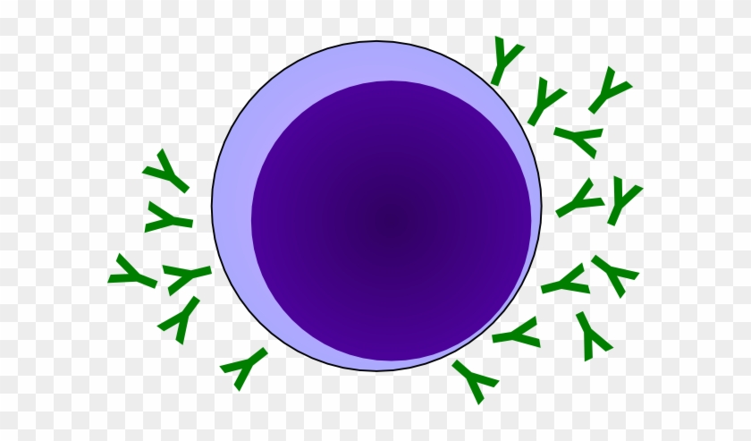 Antibody Clip Art #867328