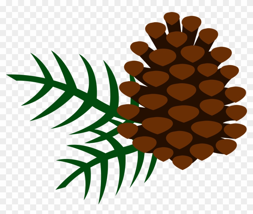 Clipart Of Three Pine Trees K4943013 - Clip Art Pine Cone #867408