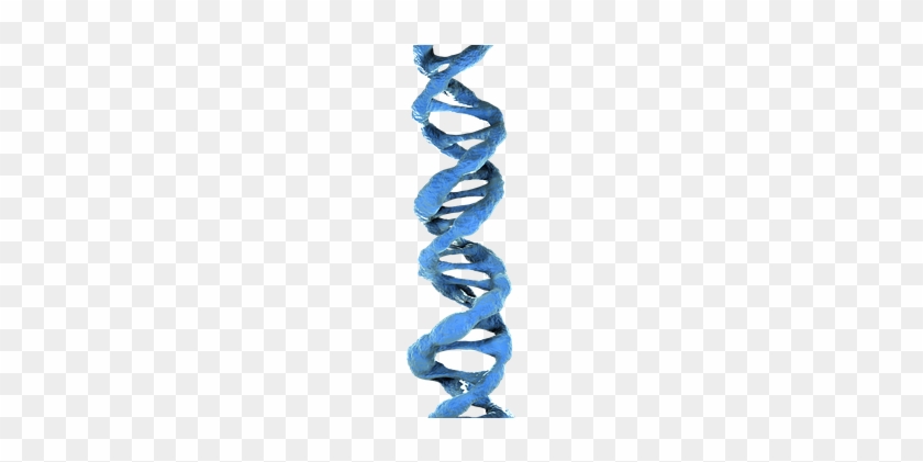 Dna 3d Dna Blue Dna Dna Dna Dna Dna Dna - Chain #867403