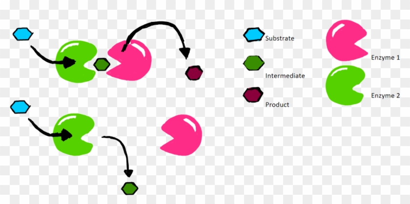 The Mechanism Of Proximity Channeling - The Mechanism Of Proximity Channeling #867431