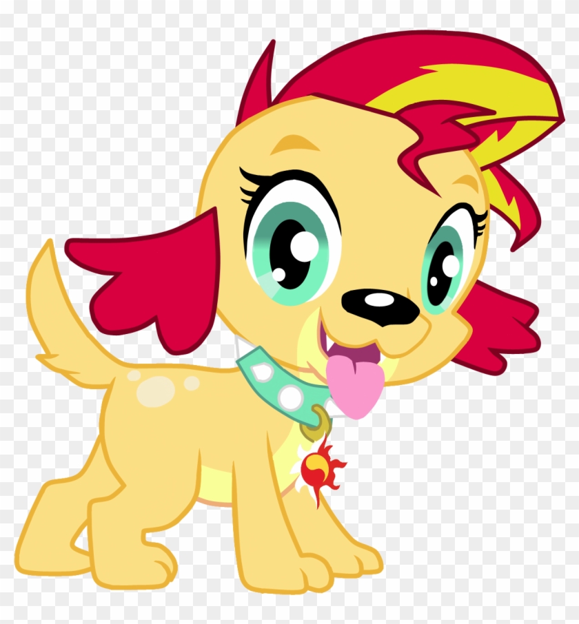 Sunset Shimmer Rainbow Dash Twilight Sparkle Pony Dog - My Little Pony: Friendship Is Magic #867618